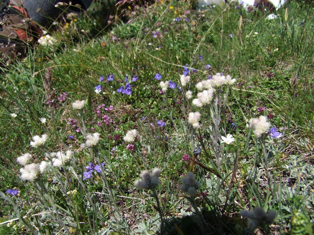 Clic pour voir l'image suivante