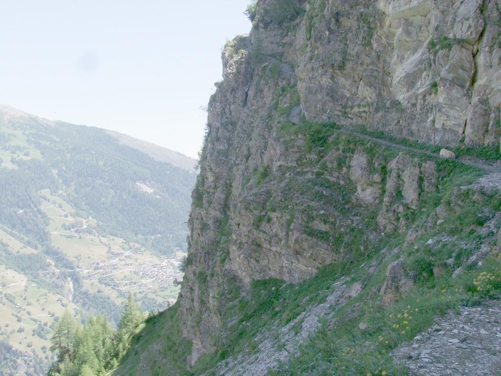 Clic pour voir l'image suivante