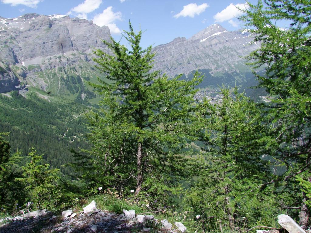 Clic pour voir l'image suivante