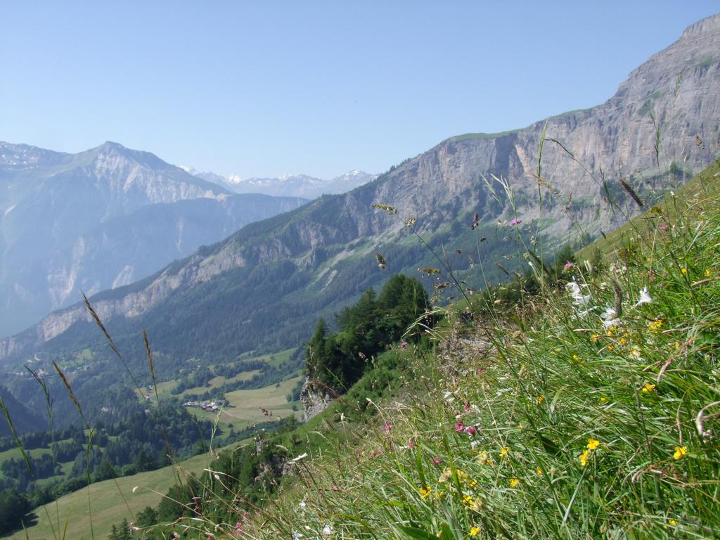 Clic pour voir l'image suivante