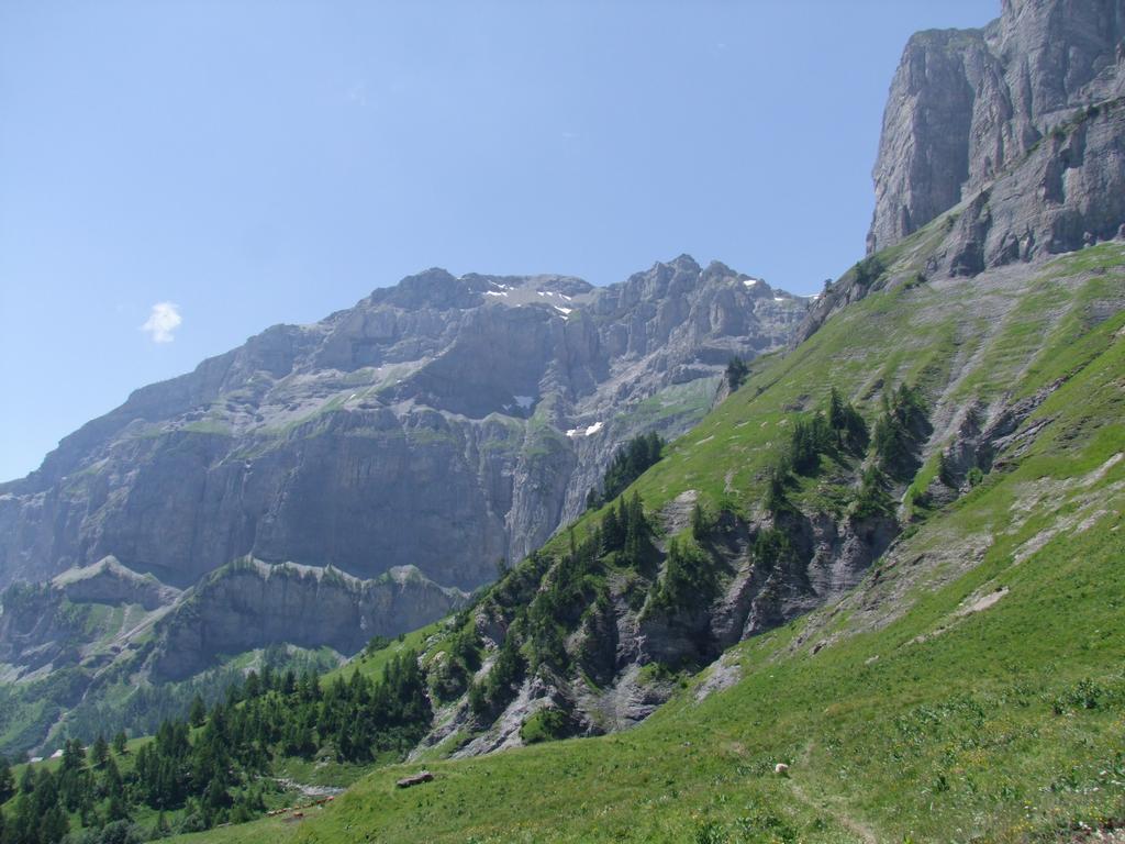 Clic pour voir l'image suivante