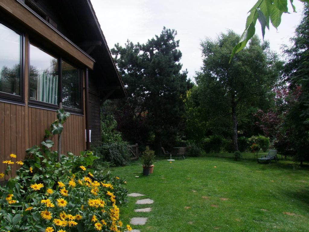 Pour l'image suivante