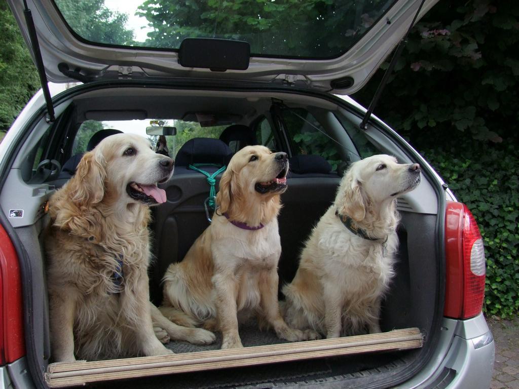 Pour l'image suivante