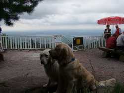 Pour agrandir l'image (1024x768 pixels; 131 KB)