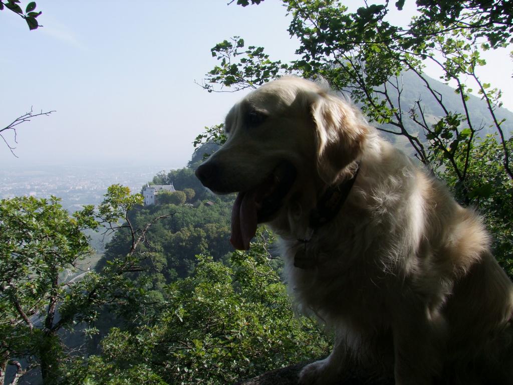 Pour l'image suivante