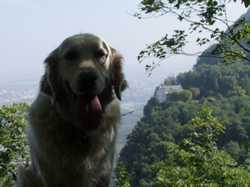 Pour agrandir l'image (1024x768 pixels; 100 KB)