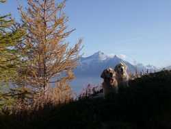 Pour agrandir l'image (1024x768 pixels; 142 KB)