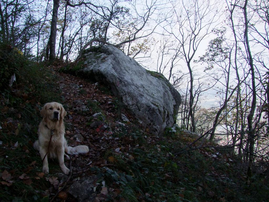 Pour l'image suivante