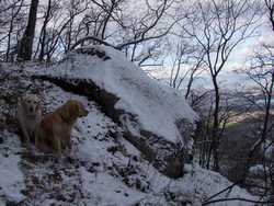 Pour agrandir l'image (1024x768 pixels; 216 KB)