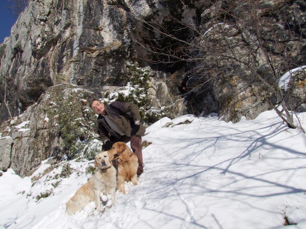 Pour l'image suivante