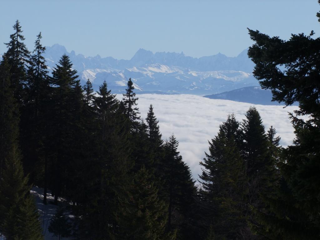 Pour l'image suivante