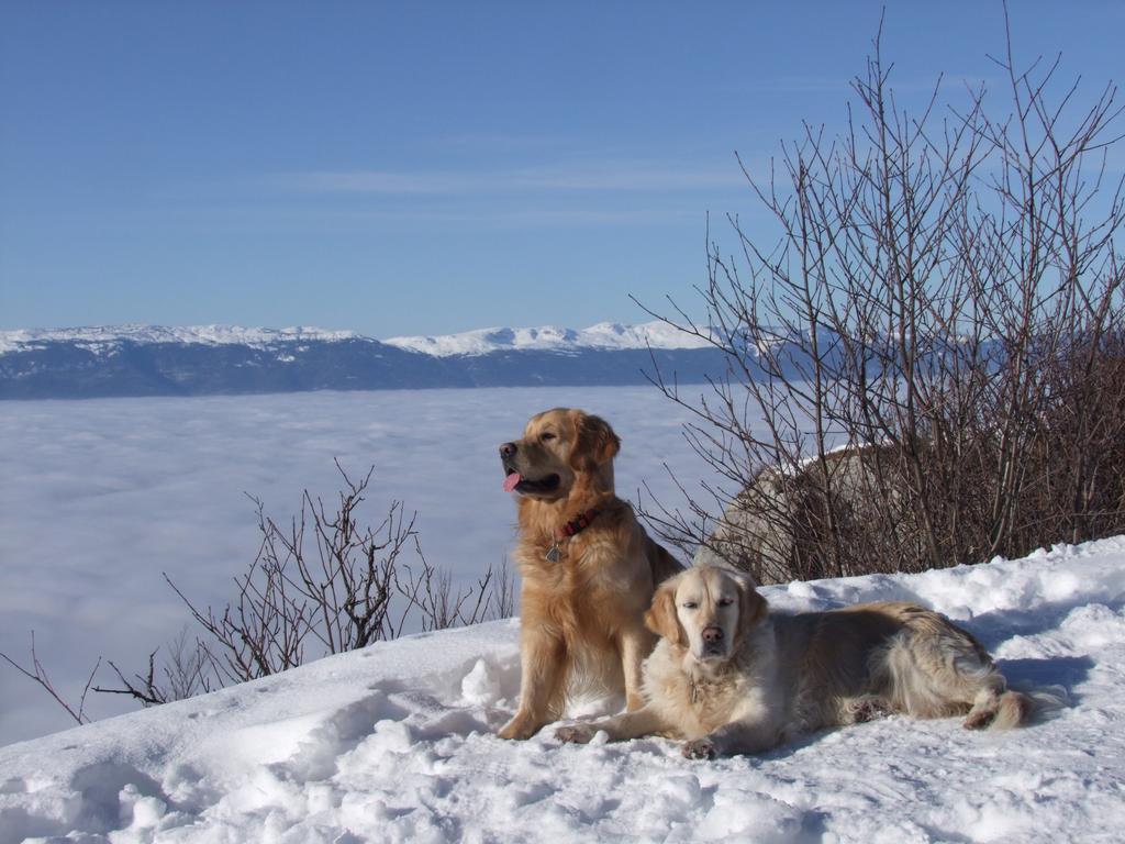 Pour l'image suivante