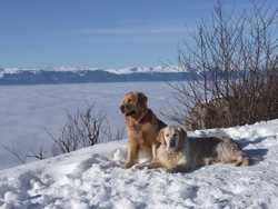 Pour agrandir l'image (1024x768 pixels; 134 KB)