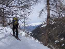 Pour agrandir l'image (1024x768 pixels; 204 KB)