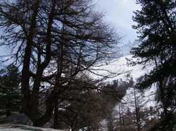 Pour agrandir l'image (1024x768 pixels; 226 KB)