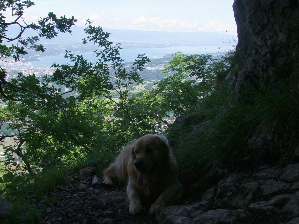 Pour l'image suivante