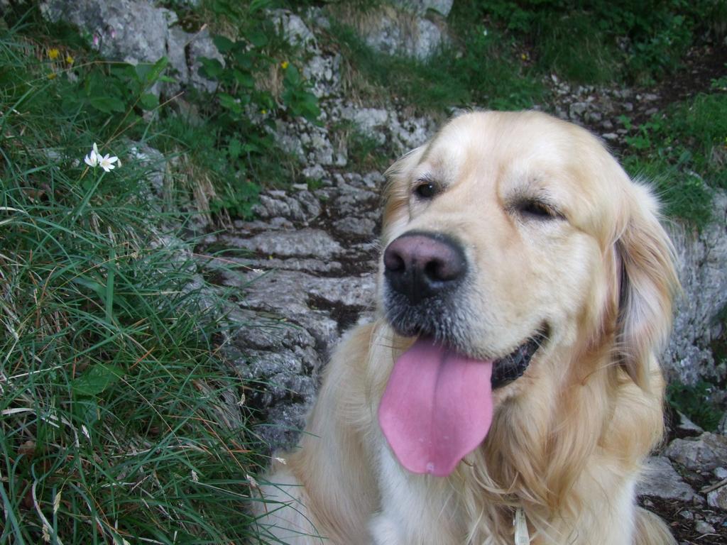 Pour l'image suivante