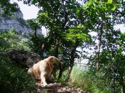 Pour agrandir l'image (1024x768 pixels; 239 KB)