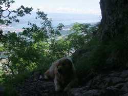 Pour agrandir l'image (1024x768 pixels; 133 KB)