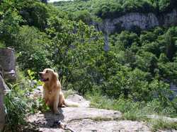 Pour agrandir l'image (1024x768 pixels; 264 KB)