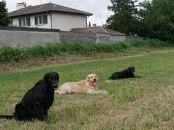 Pour agrandir l'image (800x600 pixels; 126 KB)