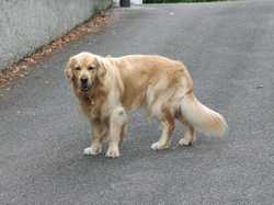 Pour agrandir l'image (1024x768 pixels; 176 KB)