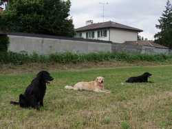 Pour agrandir l'image (1024x768 pixels; 181 KB)