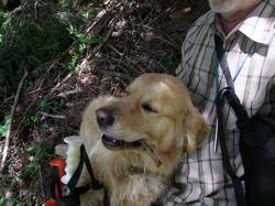 Cliquer pour agrandir l'image (1024x768 pixels; 163 KB)