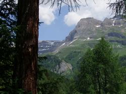 Cliquer pour agrandir l'image (1024x768 pixels; 148 KB)