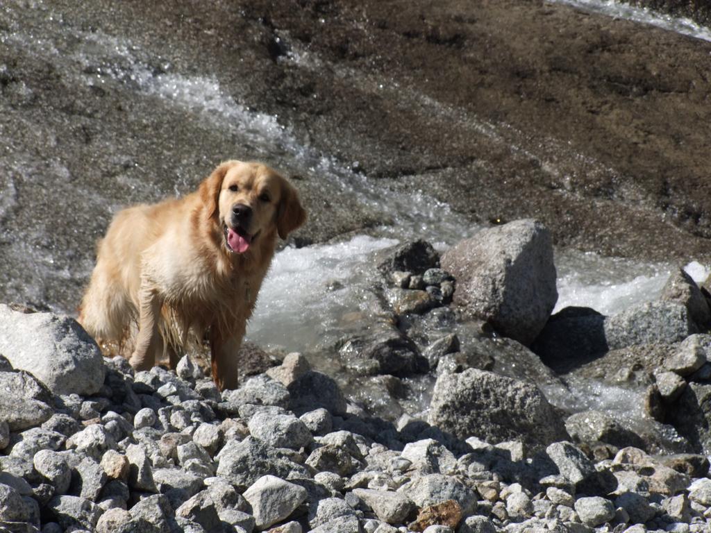 Pour l'image suivante