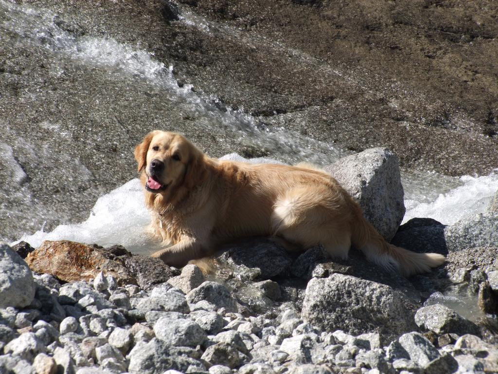 Pour l'image suivante