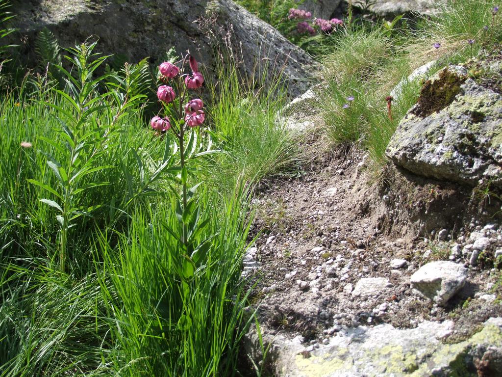 Pour l'image suivante