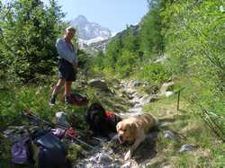 Pour agrandir l'image (1024x768 pixels; 220 KB)