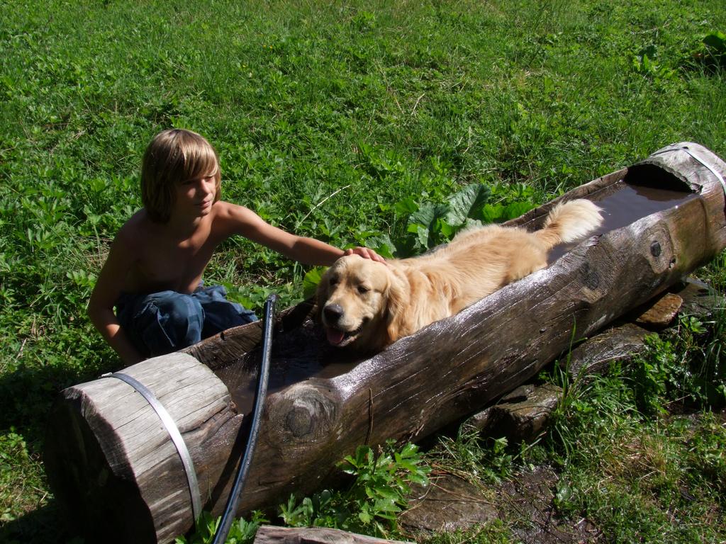 Pour l'image suivante