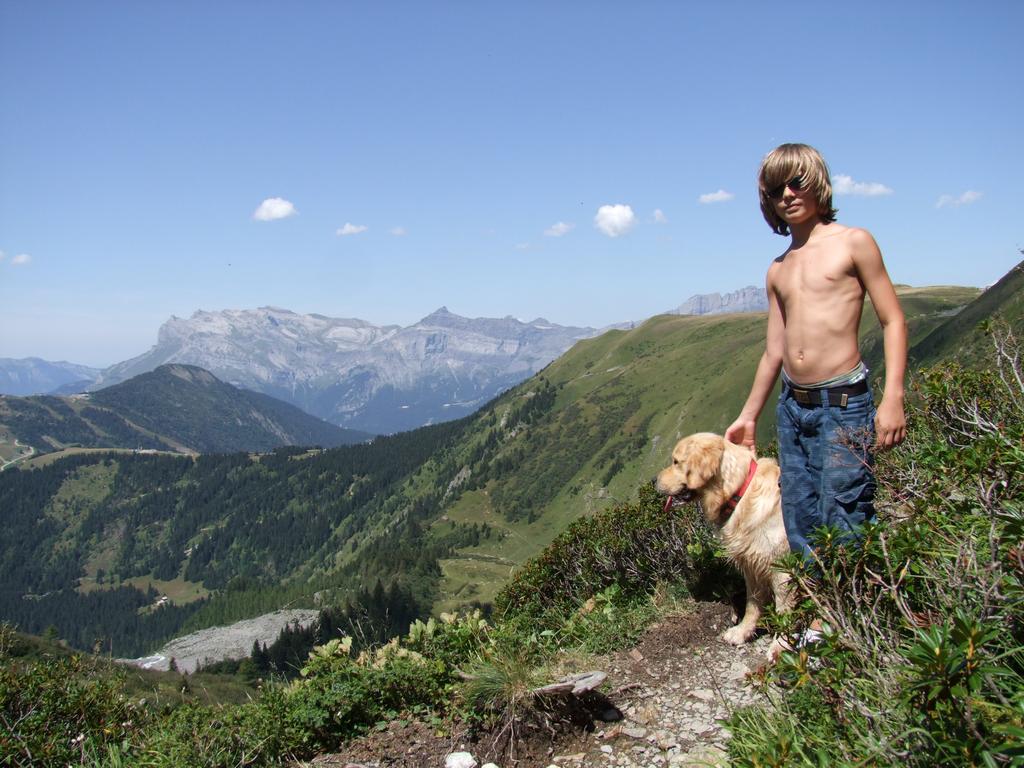 Pour l'image suivante