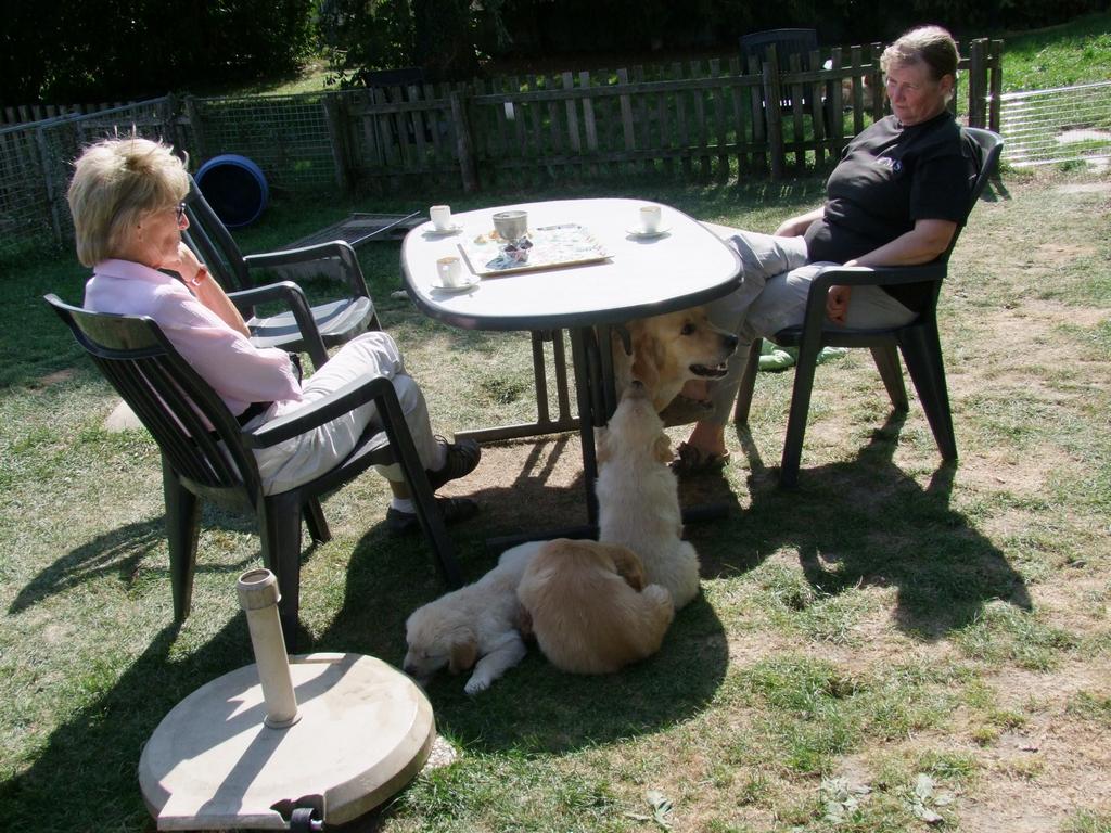 Pour l'image suivante