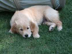 Pour agrandir l'image (1024x768 pixels; 177 KB)