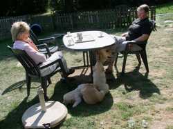 Pour agrandir l'image (1024x768 pixels; 187 KB)