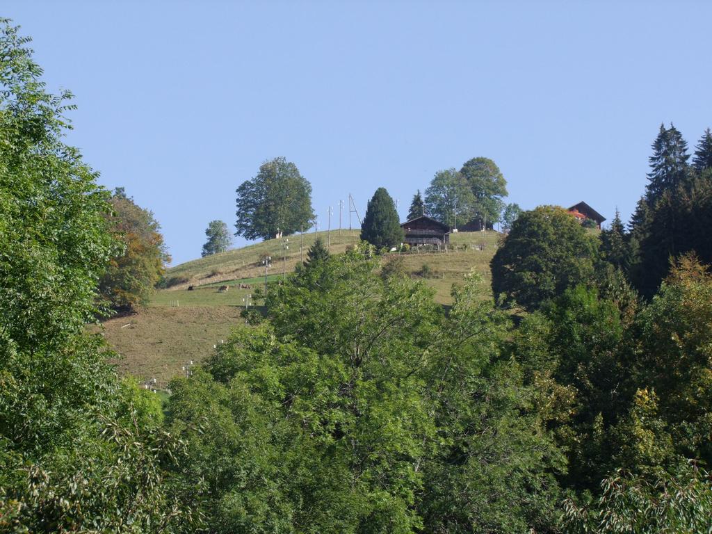 Pour l'image suivante