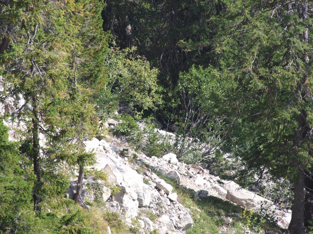 Pour l'image suivante