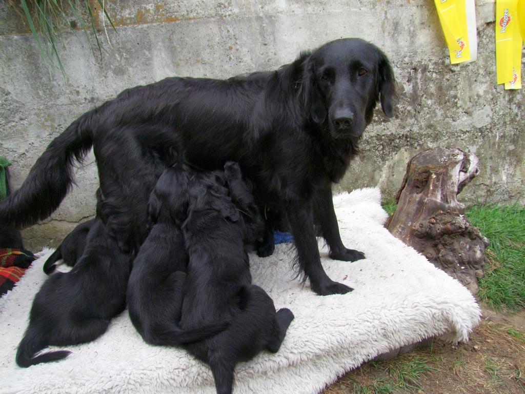 Pour l'image suivante