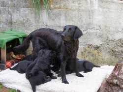 Pour agrandir l'image (1024x768 pixels; 134 KB)