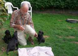 Pour agrandir l'image (1024x742 pixels; 147 KB)