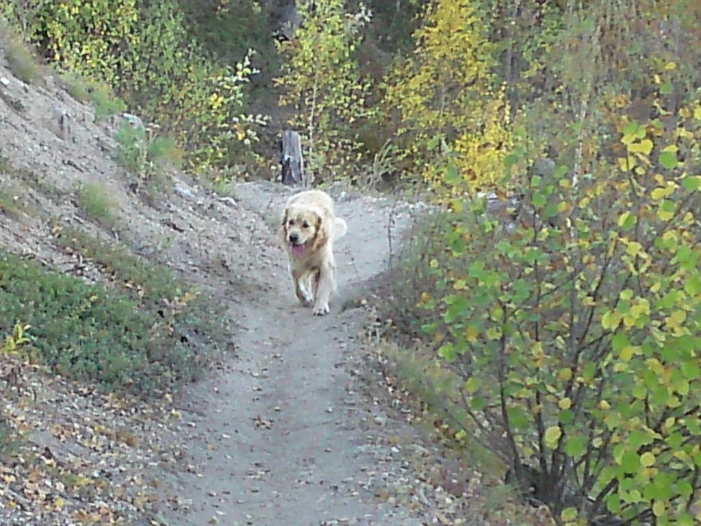 Pour l'image suivante