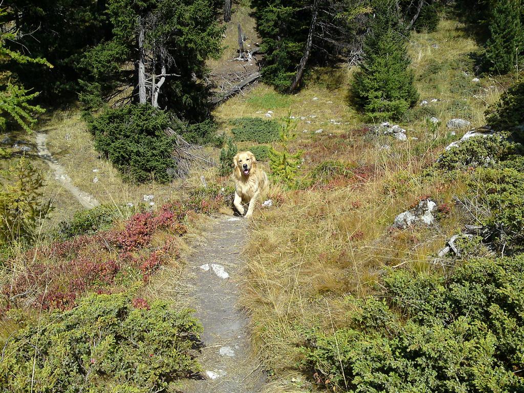 Pour l'image suivante