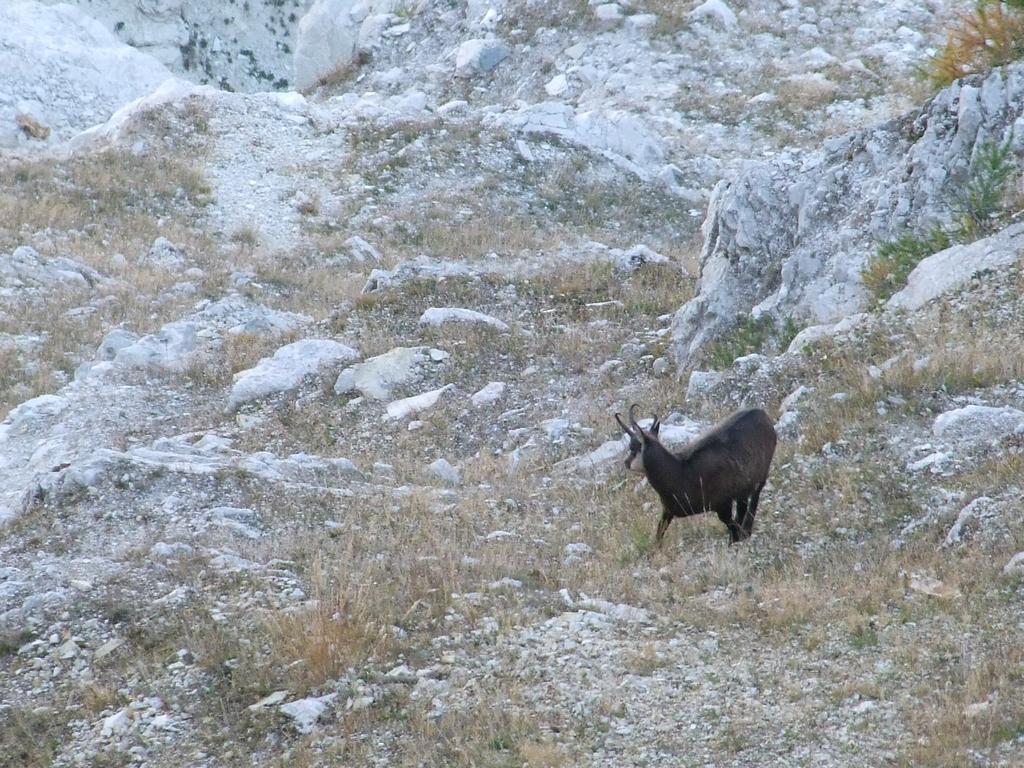 Pour l'image suivante