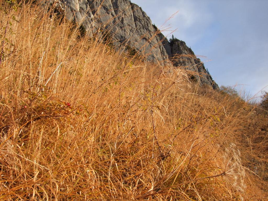 Pour l'image suivante