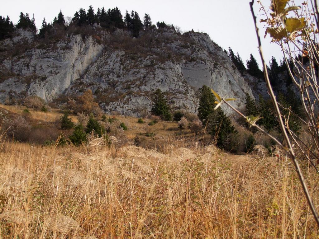 Pour l'image suivante