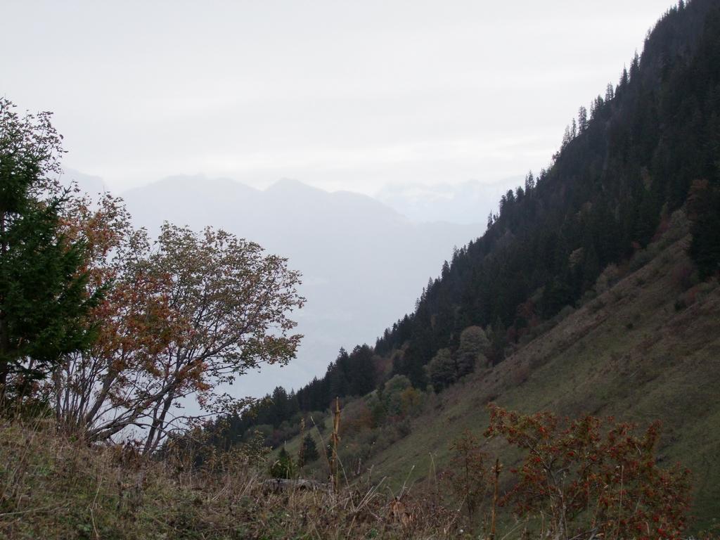 Pour l'image suivante