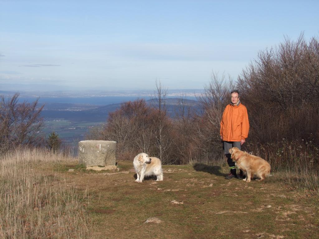 Pour l'image suivante